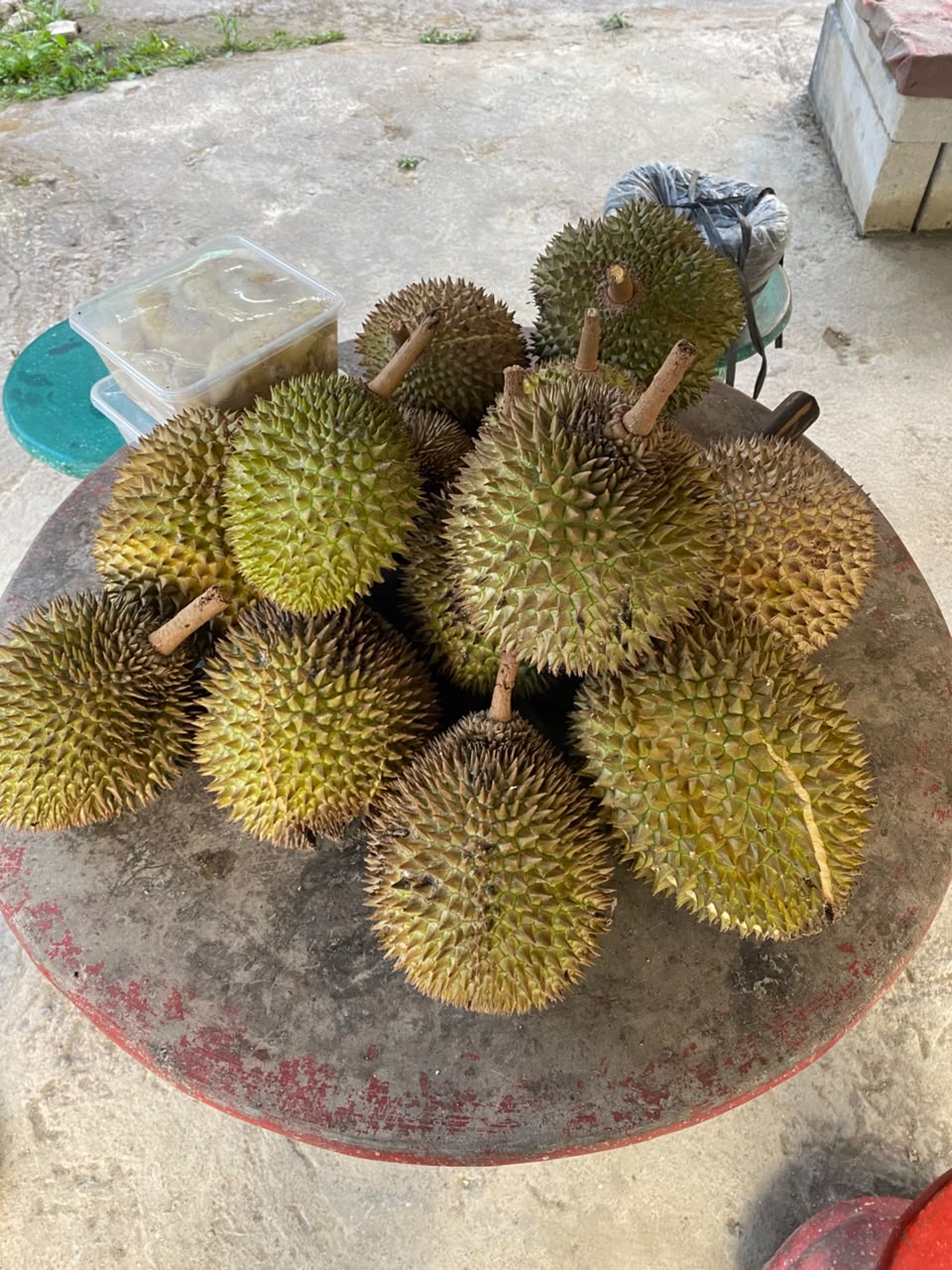 Premium durian