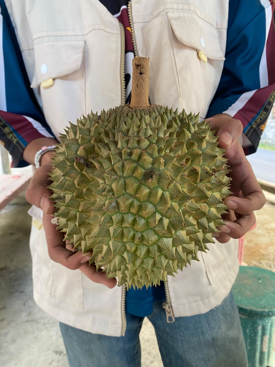 Durian picking experience